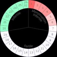 Tthe Rhythm Method Rhythm Contraception Method