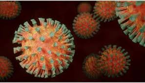 Hdv is considered to be a satellite (a type of subviral agent). Covid19 Australia S Victoria Spots Delta Variant Of Coronavirus In Latest Outbreak World News Zee News