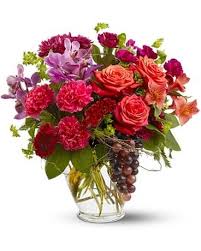 Flowers for all occasions track info. Mastery Zed Flowers For All Occasions Lyrics Blood Cultures Flowers For All Occasions Lyrics Genius Lyrics All Occasions For Flowers Delivery Flowers For All Occasions Flowers Birth Birthday Wedding Thanks