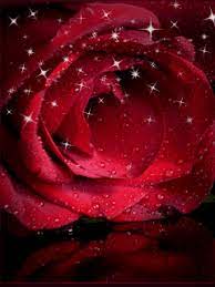 Check spelling or type a new query. Ø®Ù„ÙÙŠØ§Øª ÙˆØ±ÙˆØ¯ Ù…ØªØ­Ø±ÙƒØ© Ù„Ù„Ù…ÙˆØ¨Ø§ÙŠÙ„ Ø§Ø¬Ù…Ù„ Ø§Ù„Ø®Ù„ÙÙŠØ§Øª Ø§Ù„Ù…ØªØ­Ø±ÙƒØ© Ù„Ù„Ø¬ÙˆØ§Ù„ Ù…Ø¬Ù…ÙˆØ¹Ø© ØµÙˆØ± ÙˆØ±ÙˆØ¯ Ù…ØªØ­Ø±ÙƒØ© Flower Phone Wallpaper Beautiful Girl Face Red Roses