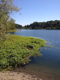 Riverfront regional park is adjacent to the russian river in sonoma county. Riverfront Regional Park Windsor Ca Riverfront Natural Landmarks Trip