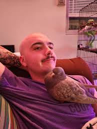 Building peaceful coexistence between birds and cats in Pasadena