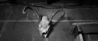 Watch hd movies online for free and download the latest movies. Cactus Jack 2021 Yify Download Movie Torrent Yts