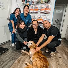 San Pablo Vet Clínic