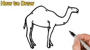 Follow our step by step illustrated tutorial. How To Draw A Camel Easy Animals Drawings For Beginners Youtube