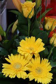 Flowers And Bouquet From Woolworths In Nsw Australia