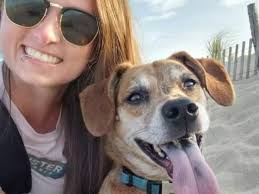 Fundraiser by Maria Wheaton : Help Franky Walk Again