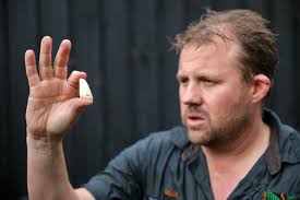 Dive into croc pool yields unexpected bounty