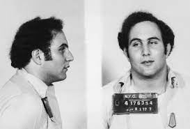 It would be noted later, after david berkowitz, aka the son of sam, was caught and interrogated, that he preferred brunettes. Sons Of Sam Die Netflix Doku Uber Den Brutalsten Serienmorder Aller Zeiten Gq Germany