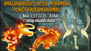 Gelang mustika khodam macan loreng mempunyai khasiat insya allah untuk proteksi diri dan bangunan dari serangan sihir, memusnahkan ilmu hitam, mengancurkan kekuatan musuh, menembus pagar gaib, menjebol kesaktian ilmu kebal musuh, memusnahkan ilmu kebal musuh, mencabut kesaktian, menghilangkan sengkolo atau kesialan, menghilangkan efek buruk. Dampak Positif Orang Mempunyai Khodam Harimau Belang Maung Loreng Youtube