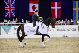 Einfach aus einem bedürfnis heraus. Louisdor Preis In Oldenburg Erobern Reitturniere De News Ergebnisse Turnierkalender Ranglisten