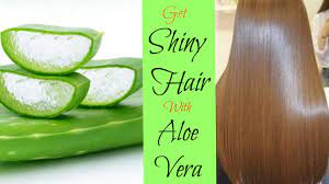 This will remove impurities and surface build up from your gray hair which will result in a nicer tone. Glossy Hair How To Make Hair Shiny Silky Naturally At Home Men Women Youtube