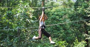 We did not find results for: 5 Adventurous Things To Do In Kl Bk Magazine Online