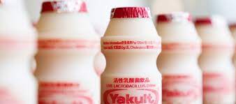 Update Harga Yakult Eceran Dan Pack Daftar Harga Tarif