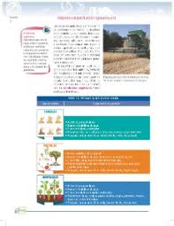 Somos una familia que te presentamos lo. 23 Las Actividades Basicas Agricultura Y Ganaderia Ayuda Para Tu Tarea De Geografia Sep Secundaria Primero Respuestas Y Explicaciones