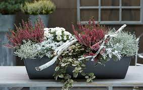 Pin By Anna Furmanova On Blumenkasten Container Flowers Garden Center Plants