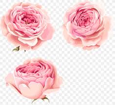Pink peony flower images download. Hand Painted Beautiful Pink Peony Flowers Png 1254x1136px Beach Rose Artificial Flower Cut Flowers Floral Design