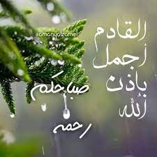 صباحكم رحمة وأمل christmas ornaments holiday decor morning images