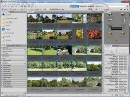 We'll need a new photoshop document, so go up to the file menu in the menu bar along the top of the screen and choose new: Contact Sheets In Photoshop Cs5 Tipsquirrel