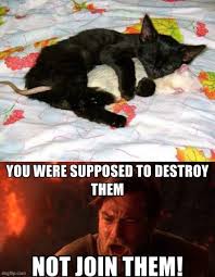 Check spelling or type a new query. Love And Affection Memes