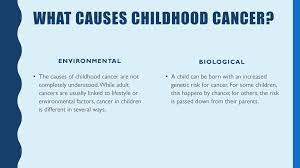 Environmental causes, such as exposure to infectious and toxic substances, are unlikely to cause childhood cancer. St Jude Research Hospital Ppt Download