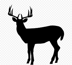 Download now gambar hitam dan putih tanduk rusa jantan binatang. Rusa Kutub Siluet Rusa Roe Rusa Kontur Pemotong Kertas Satwa Liar Tanduk Png Klipartz