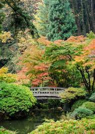 Japanese Garden Seattle Like The Japanese Maple Around The Bridge Need To Do That To O Japanese Maple Garden Portland Japanese Garden Seattle Japanese Garden