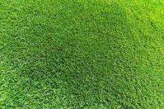 Image result