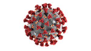 The novel coronavirus is thought to come from bats. What Do You Call The Disease Caused By The Novel Coronavirus Covid 19