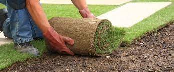 Landscaping Contractors Landscaping Tips Small Backyard Landscaping Lawn Care