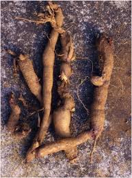 Image result for Eriosema cordatum