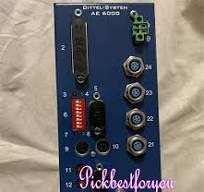1PC NEW Dittel-system AE6000 F62001 By DHL or FedEX | eBay