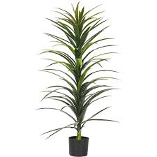 No care is needed to keep this yucca plant gorgeous! 48in H Yucca Tree At Home