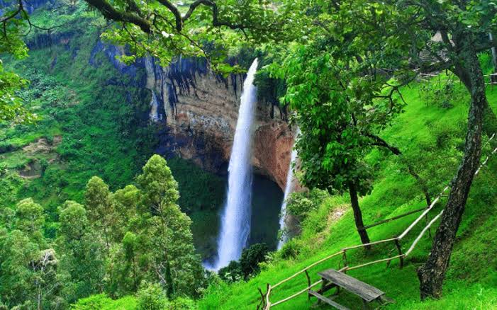 Uganda Gorilla Safaris from USA