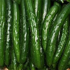 How A Japanese Cucumber Farmer Is Using Deep Learning And