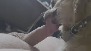 Cumming on a dog ❤️ Best adult photos at hentainudes.com