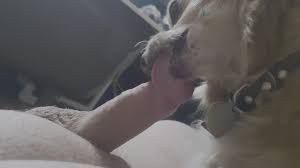 Cumming on dog