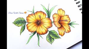 Find drawing ideas and learn to draw flowers, trees, fruits, and other nature's bounty. Hibiscus Flower Drawing How To Draw Realistic Hibiscus Flower Youtube