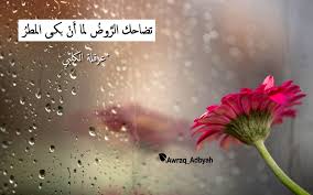 Pin By أوراق أدبية On أوراق أدبية أدب شعر اقتباسات Rain Wallpapers Rainy Day Wallpaper Rain Pictures