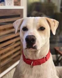 Ruth Malsher Terry (@ruthbrit) • Instagram photos and videos