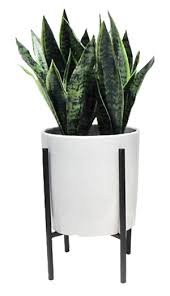 Artificial Plant In Stand Large Threshold Artificial Plants Artificial Plants Decor Artificial Plants Indoor