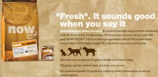 Top 20 healthy homemade dog food recipes your dog will love as you know, there's no shortage of dog food recipes. Petcurean Now Fresh Dog Food Sale Sunset Feed Miami Sunset Feed Supply
