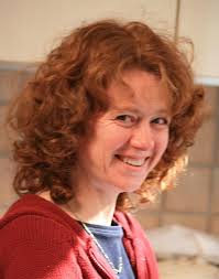 Mijn eerste Conophytums