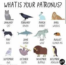 Mine Is Really A Nebelung Cat But I Love Bunnies Too Zodiac Signs Animals Zodiac Zodiac Spirit Animals