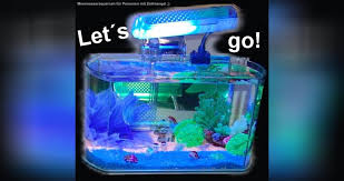 The leader water tanks are made up of triple layer virgin plastic , which means you are safe in drinking water from it. Einkaufsliste Fur Den Start Mit Einem Meerwasseraquarium