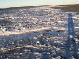 Take advantage of our easy & secure reservation process and no hidden fees policy! En La Playa El Sol Pega Oblicuo Picture Of Rio Gallegos Province Of Santa Cruz Tripadvisor