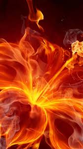 Only wallpapers that work on smart phones or tablets. Free Download 640x1136 Fire Hibiscus Iphone 5 Wallpaper 640x1136 For Your Desktop Mobile Tablet Explore 50 Fire Phone Set Wallpaper Wallpaper For Amazon Fire Tablet Kindle Fire Wallpaper Amazon