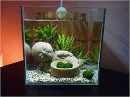 We did not find results for: Fish Tank Ideas Posts Facebook