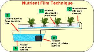 Hydroponics Systems Nutrient Film Technique Nft Drip Systems Flood And Drain Ebb And Flow