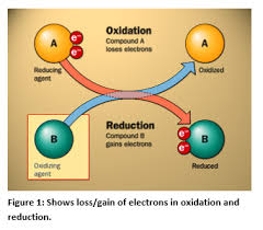 Orp Versus The Halogen Sensor Halogen Systems Inc